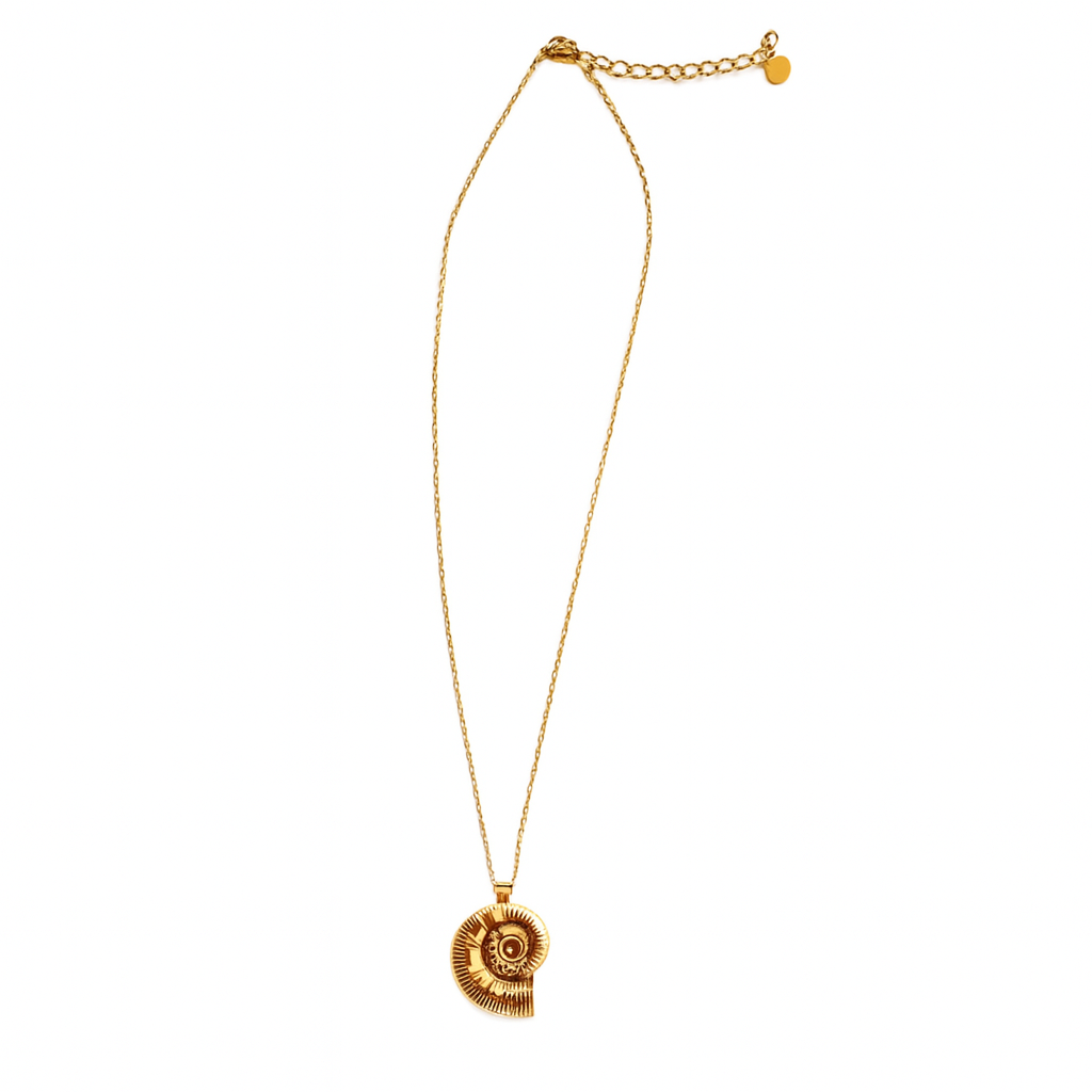 Sea Shell Silver – Collar Plateado con Colgante de Concha en Espiral
